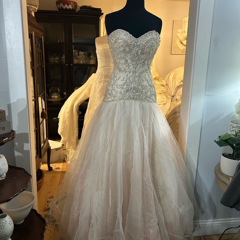 David Tutera size 6